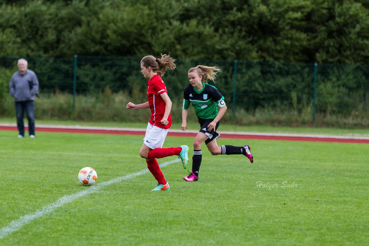 Bild 192 - C-Juniorinnen Landesmeister Finale SV Wahlstedt - TuRa Meldorf : Ergebnis: 1:4